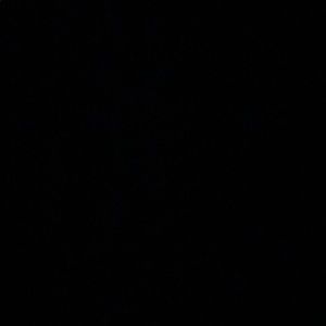 Meet your Posher, Timothy